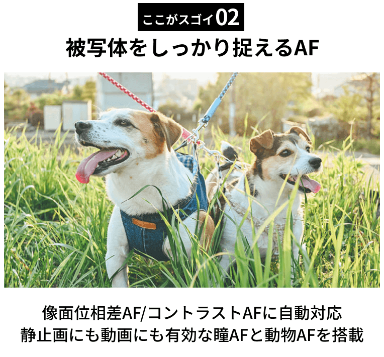 ここがスゴイ2